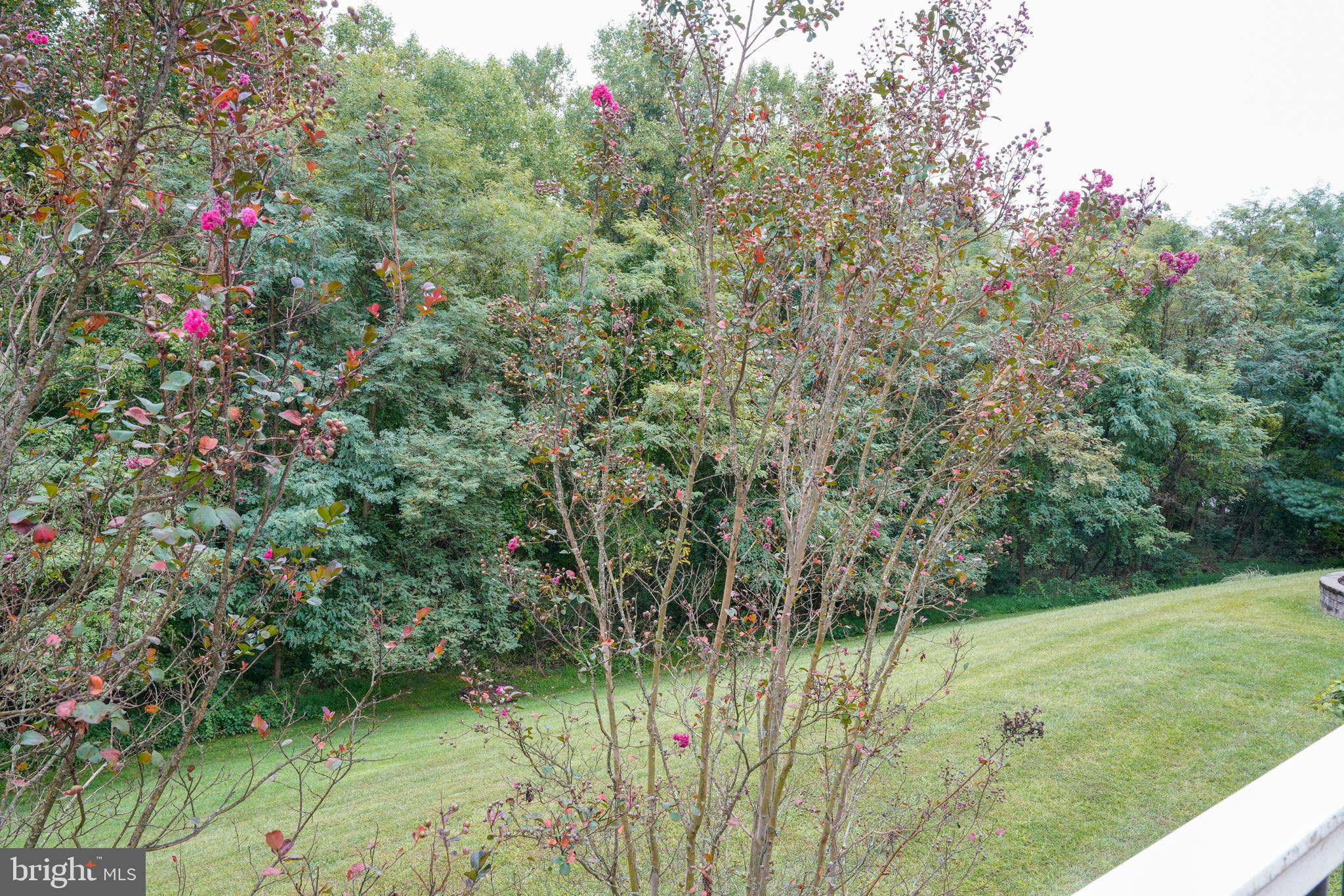 5109 BRIGHT OWL ROAD