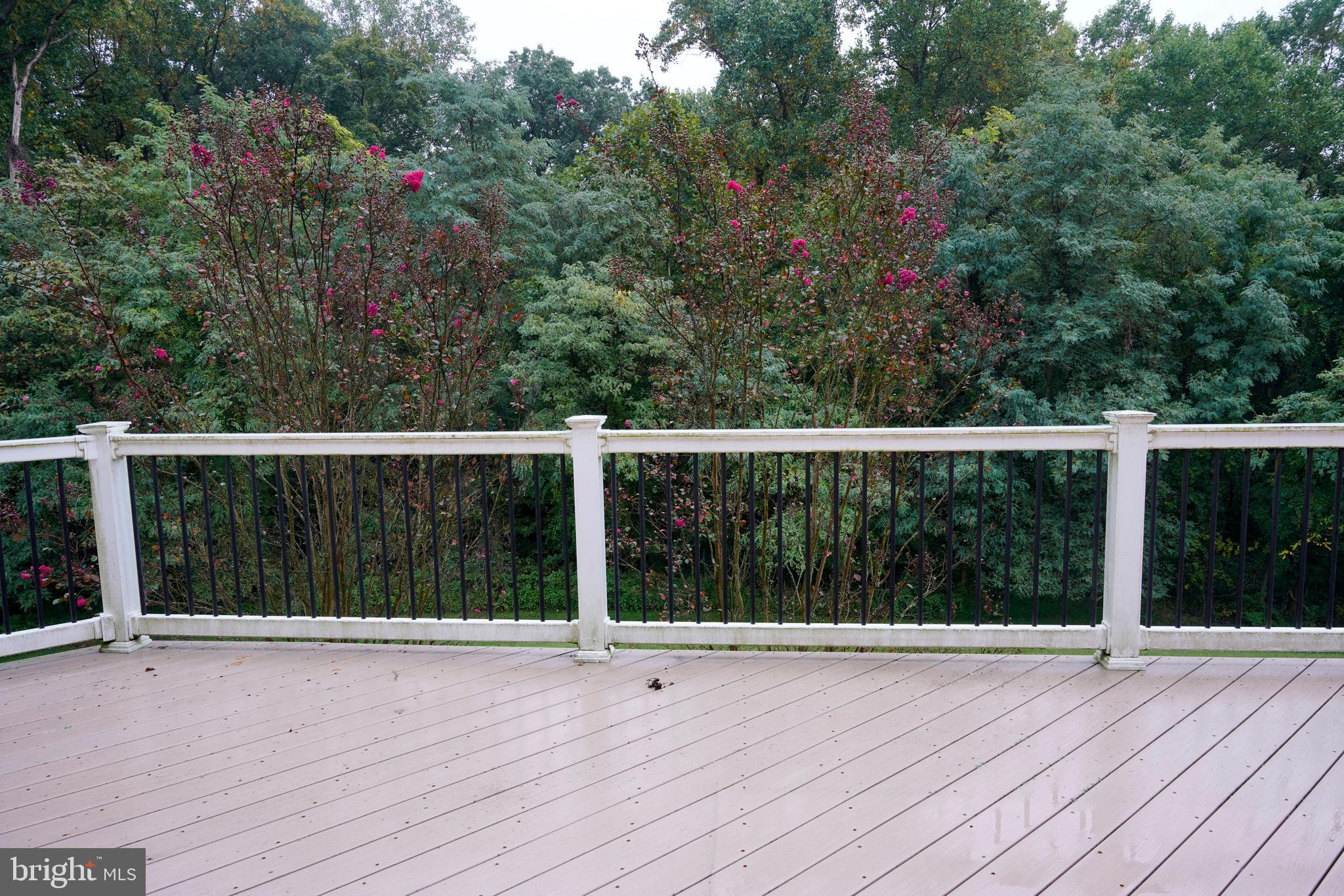 5109 BRIGHT OWL ROAD