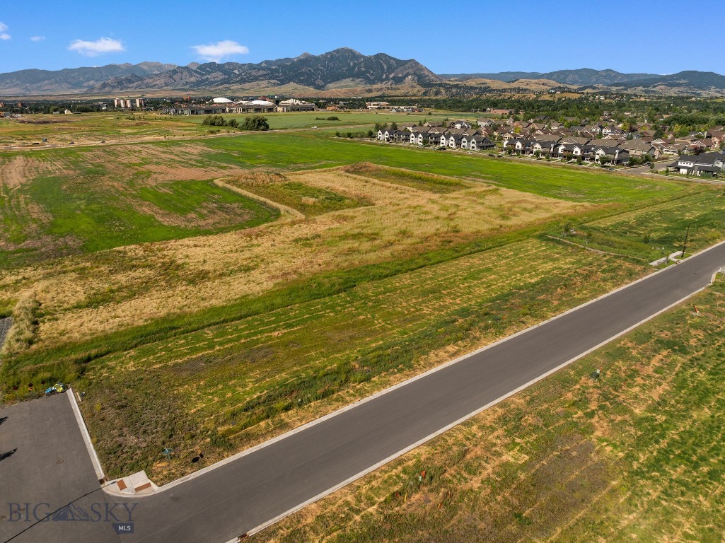 1115 Cambridge Drive