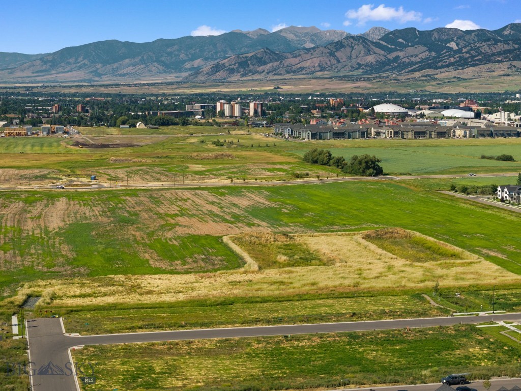 1115 Cambridge Drive