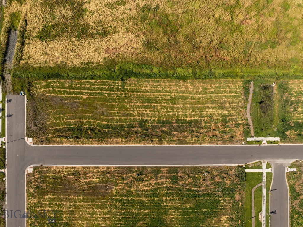 1613 Cambridge Drive