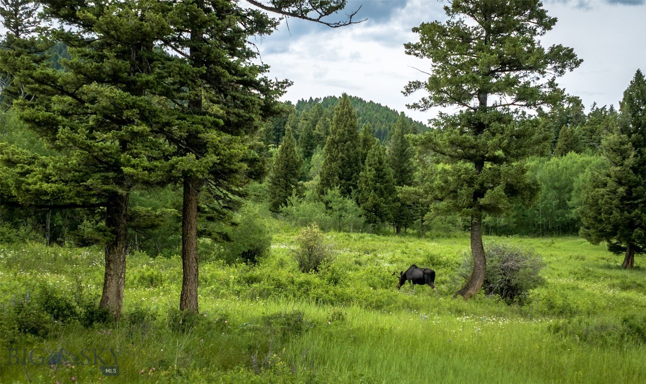 Ranch 2 North Pass Ranches