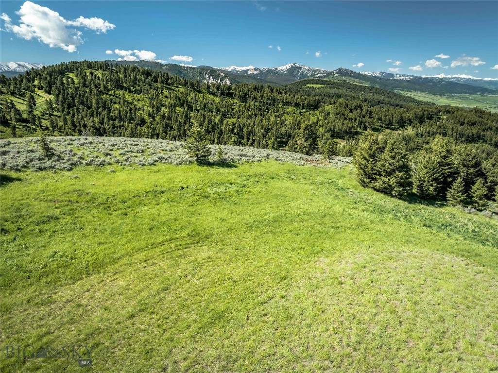 Ranch 6 North Pass Ranches