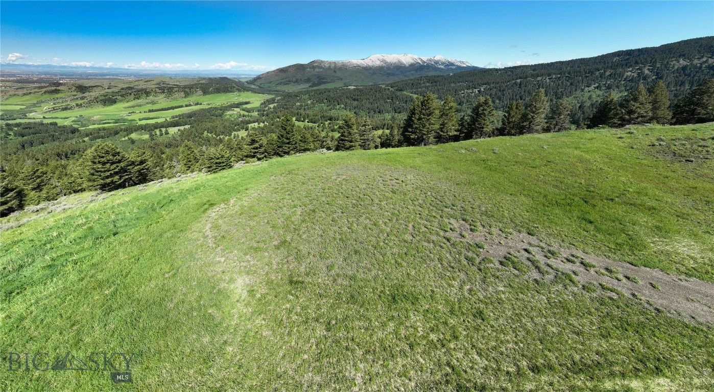 Ranch 6 North Pass Ranches