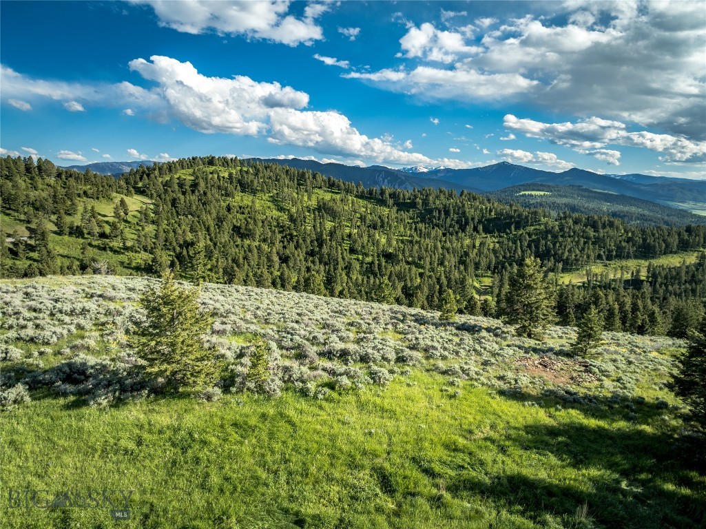 Ranch 6 North Pass Ranches