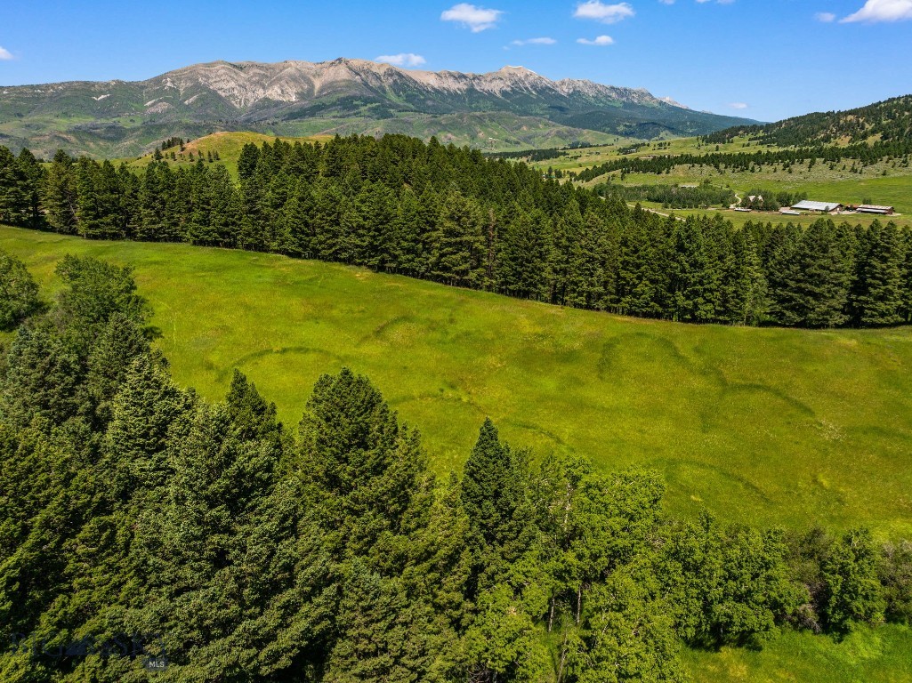 TBD Jackson Creek Road Parcel B
