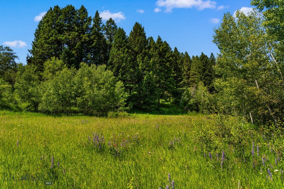 TBD Jackson Creek Road Parcel B