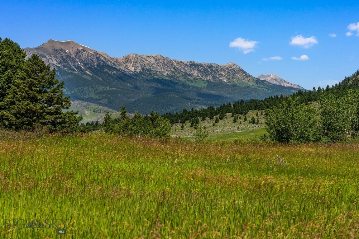 TBD Jackson Creek Road Parcel B