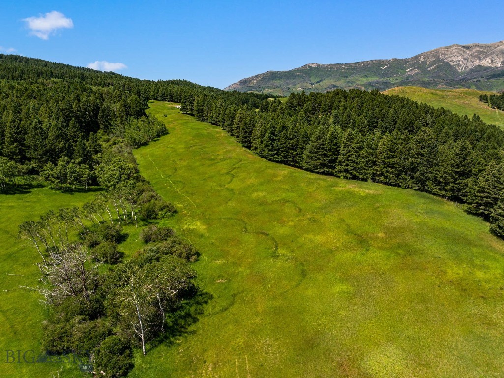 TBD Jackson Creek Road Parcel B