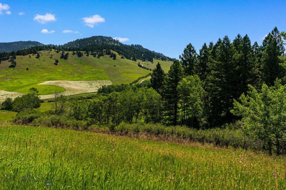 TBD Jackson Creek Road Parcel B