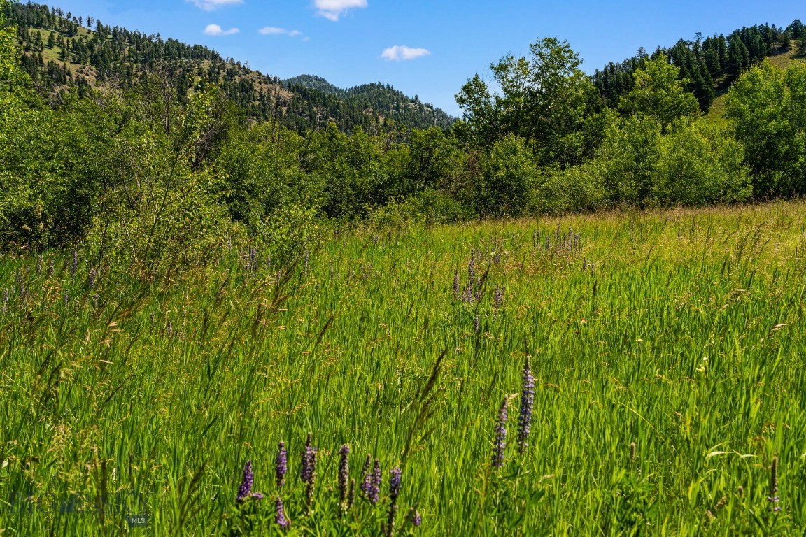 TBD Jackson Creek Road Parcel B