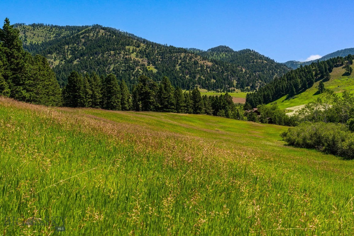 TBD Jackson Creek Road Parcel B