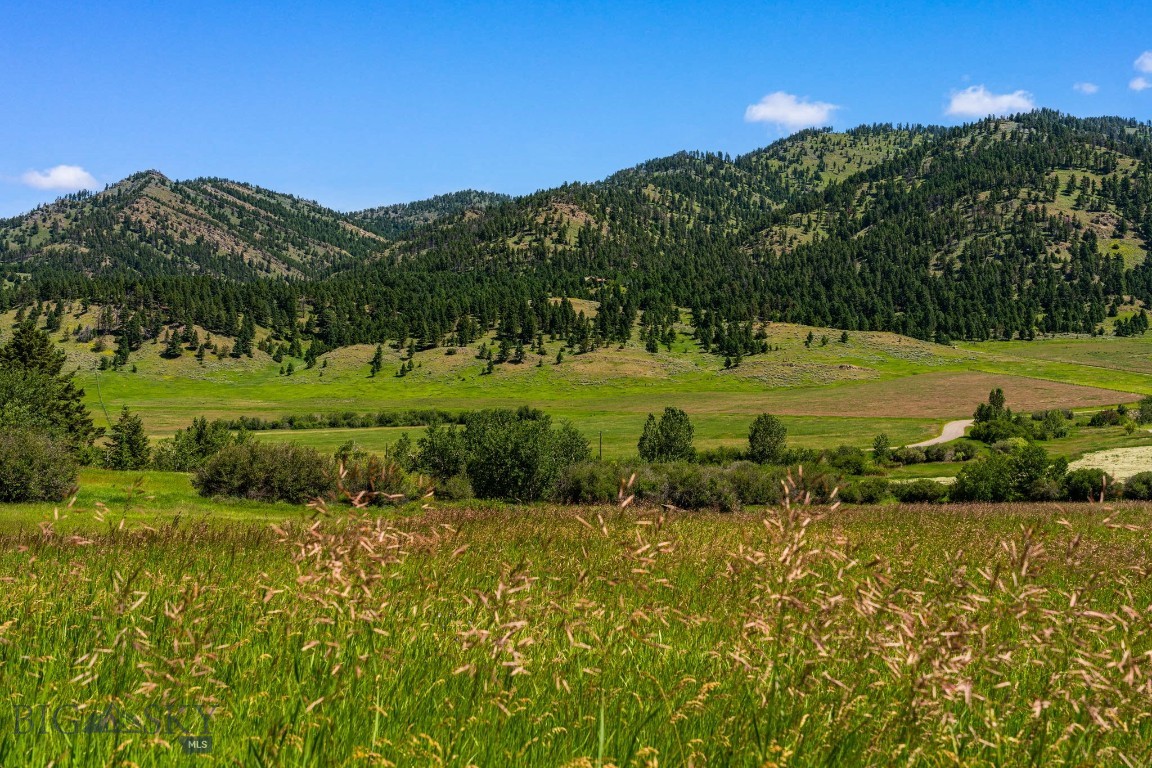 TBD Jackson Creek Road Parcel B