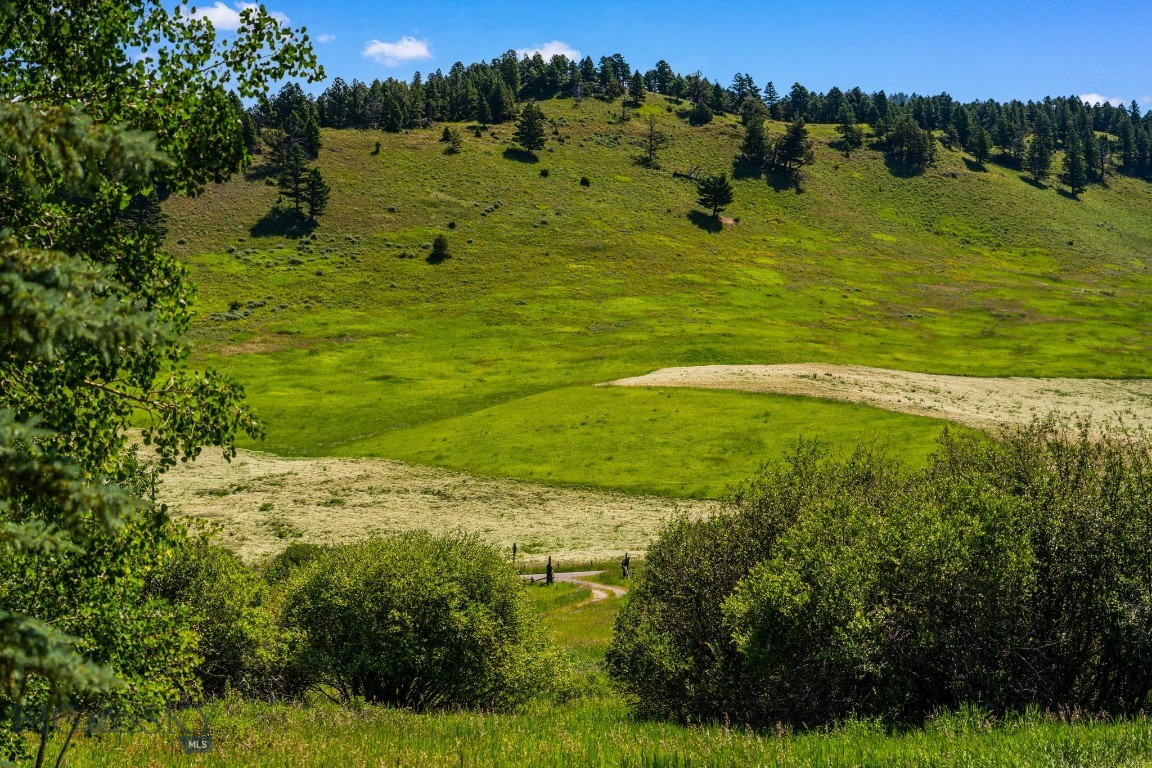 TBD Jackson Creek Road Parcel B