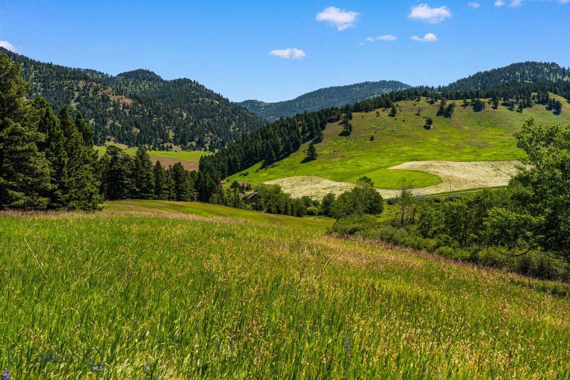 TBD Jackson Creek Road Parcel B