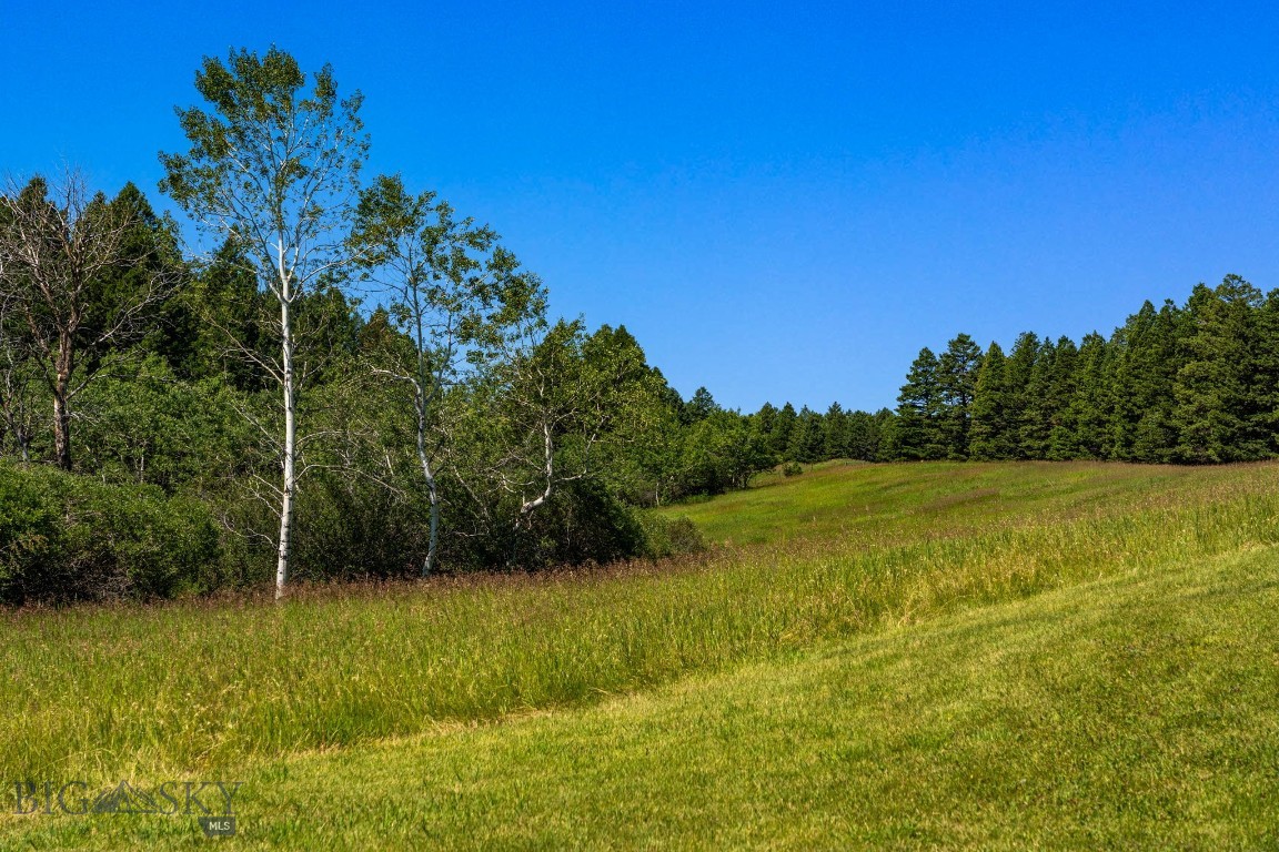 TBD Jackson Creek Road Parcel B