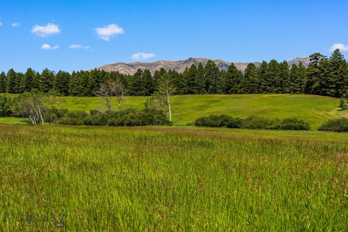 TBD Jackson Creek Road Parcel B