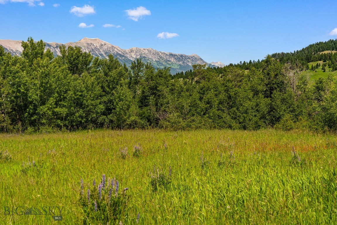 TBD Jackson Creek Road Parcel B