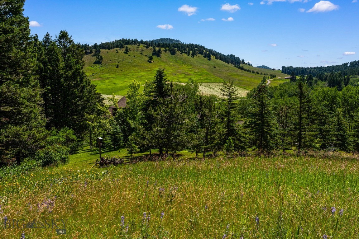 TBD Jackson Creek Road Parcel B