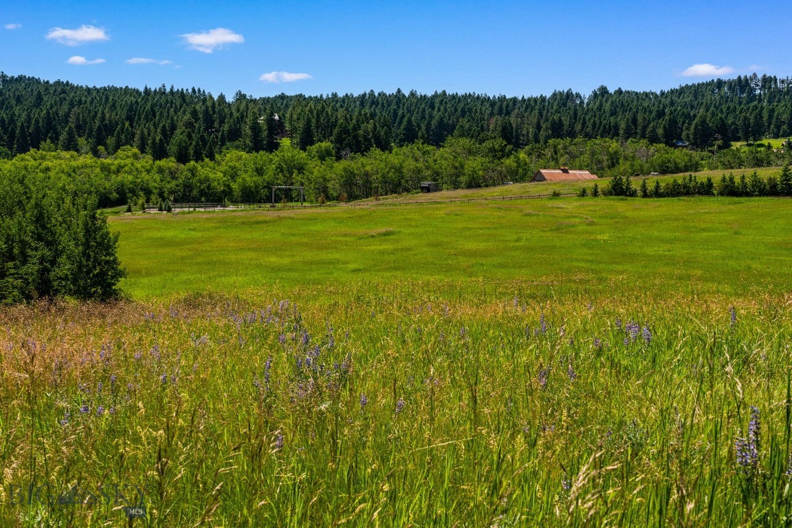 TBD Jackson Creek Road Parcel B