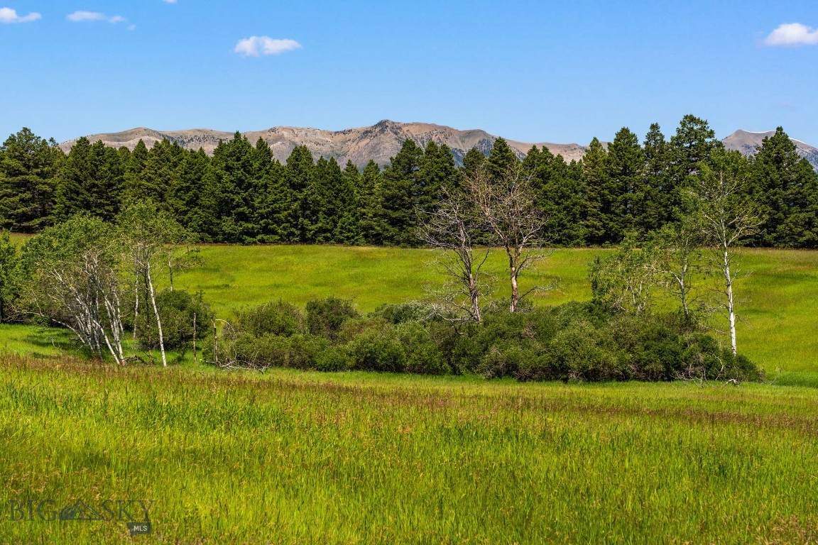 TBD Jackson Creek Road Parcel B
