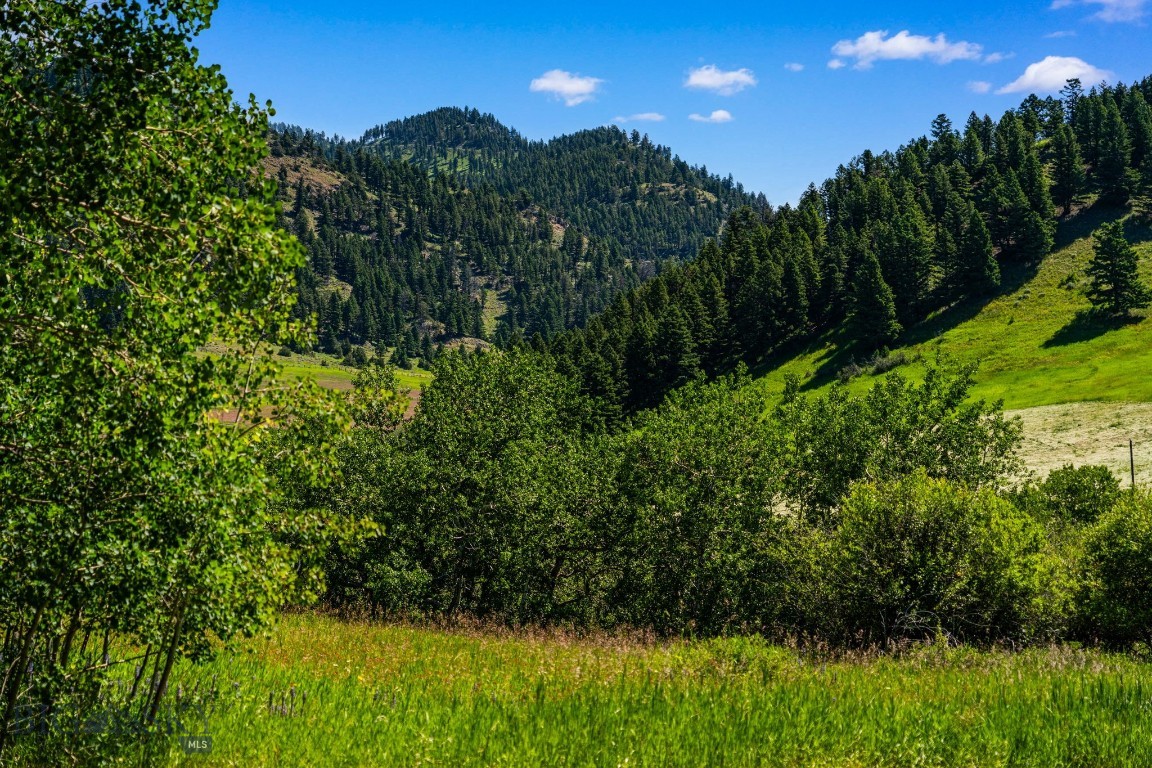 TBD Jackson Creek Road Parcel B