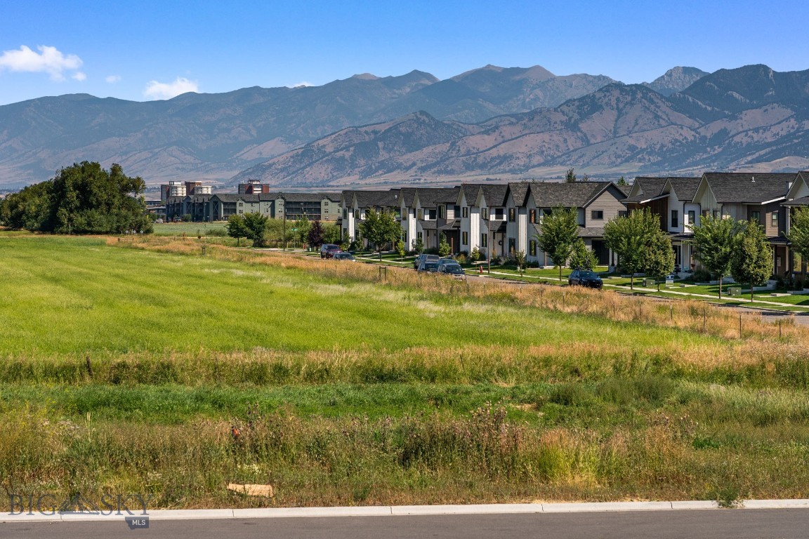 1515 Scotch Pine Lane