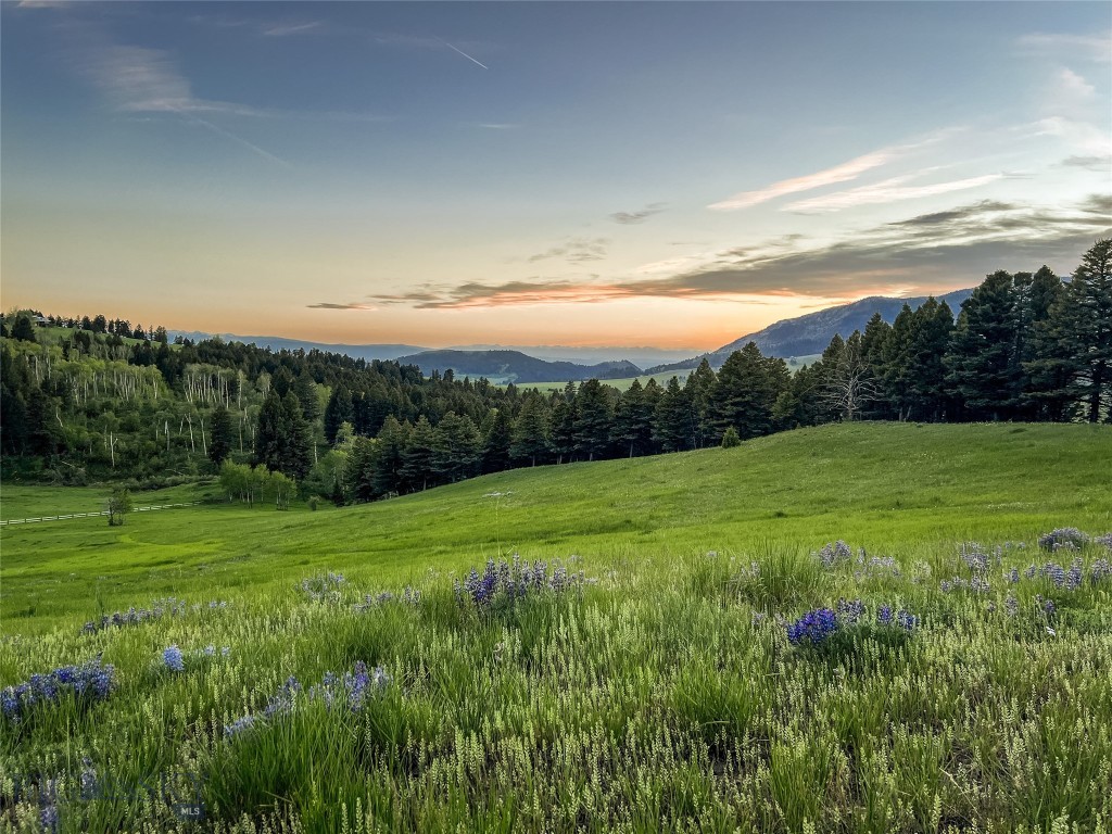900 Cloud Nine Road
