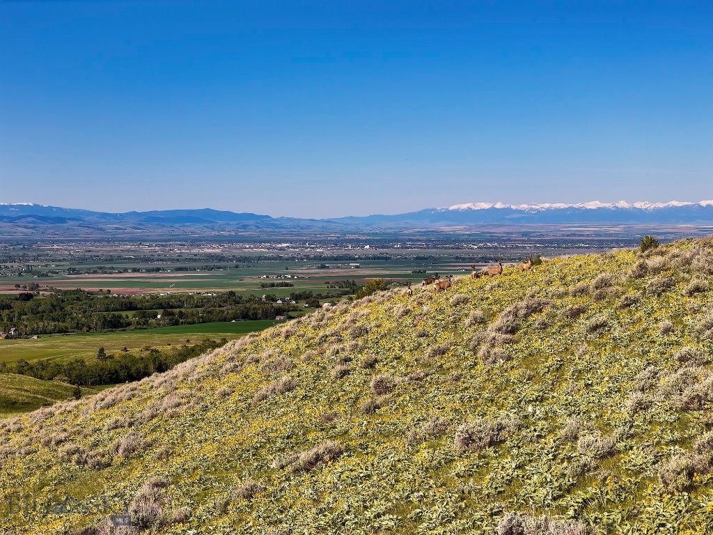 Four Bar Ranch Corbly Gulch