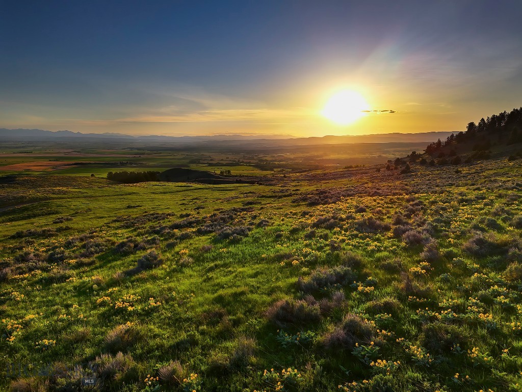 Four Bar Ranch Corbly Gulch