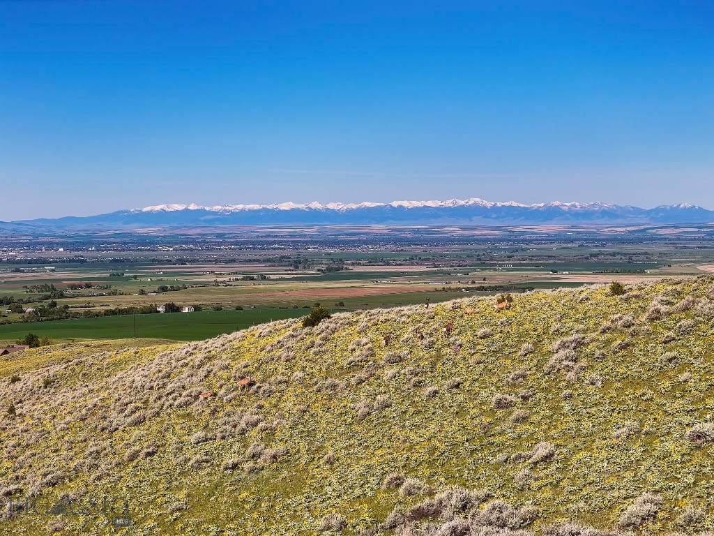 Four Bar Ranch Corbly Gulch