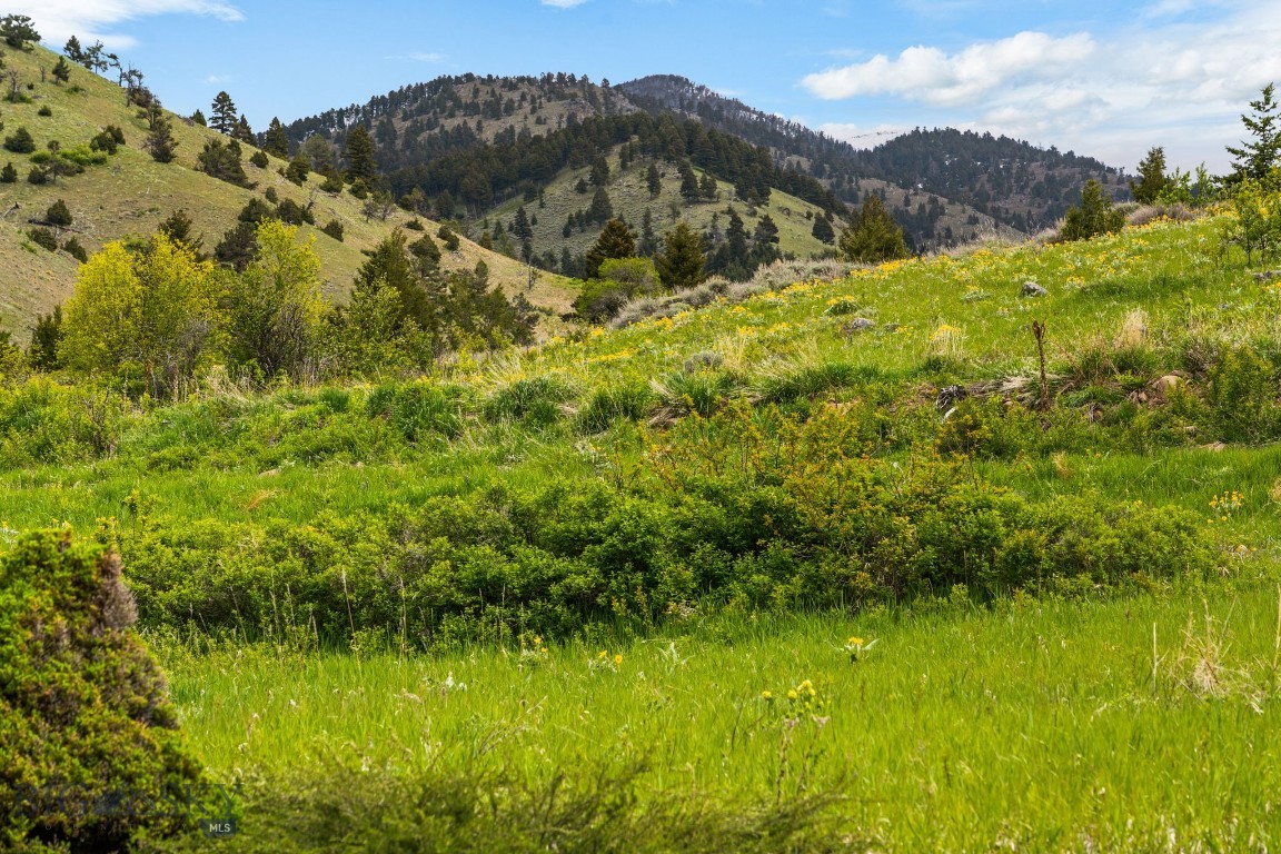 Four Bar Ranch Corbly Gulch
