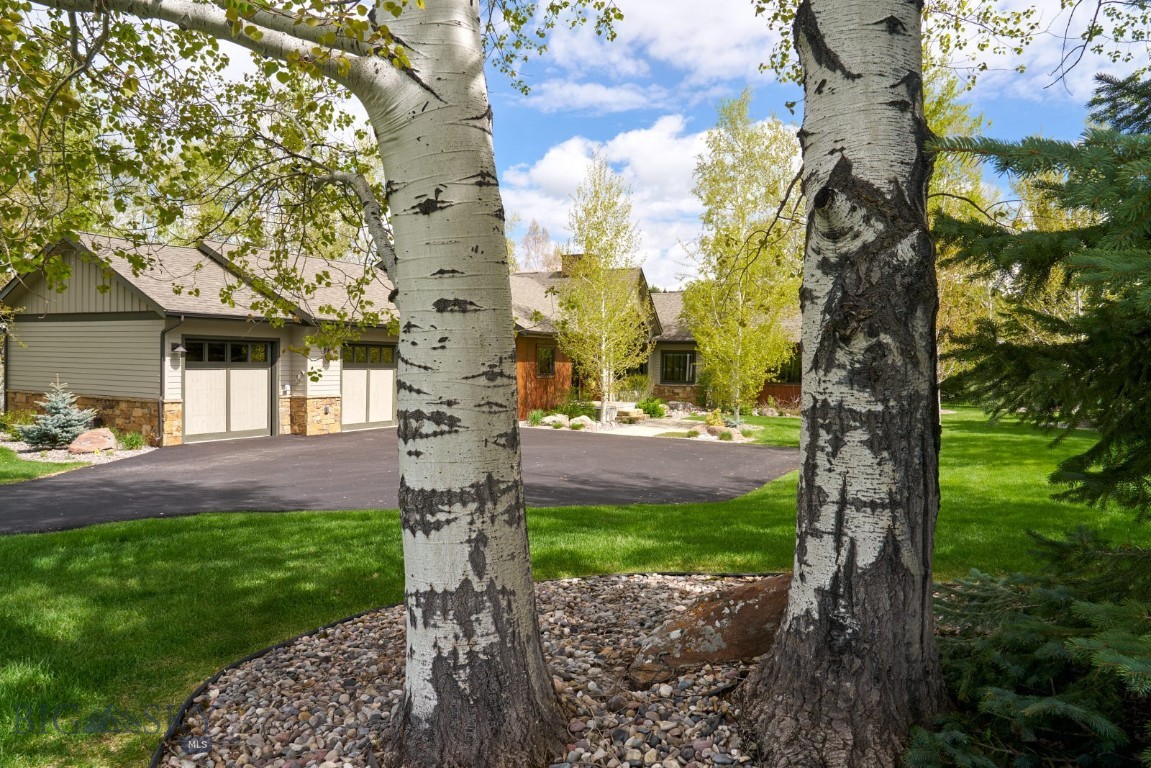 65 Triple Tree Lane