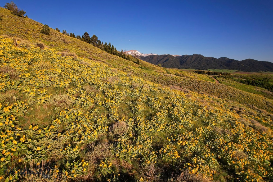 Four Bar Ranches Corbly Gulch Road