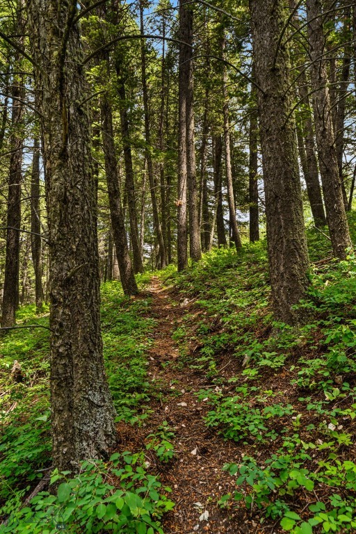 207 Martinez Spring Road