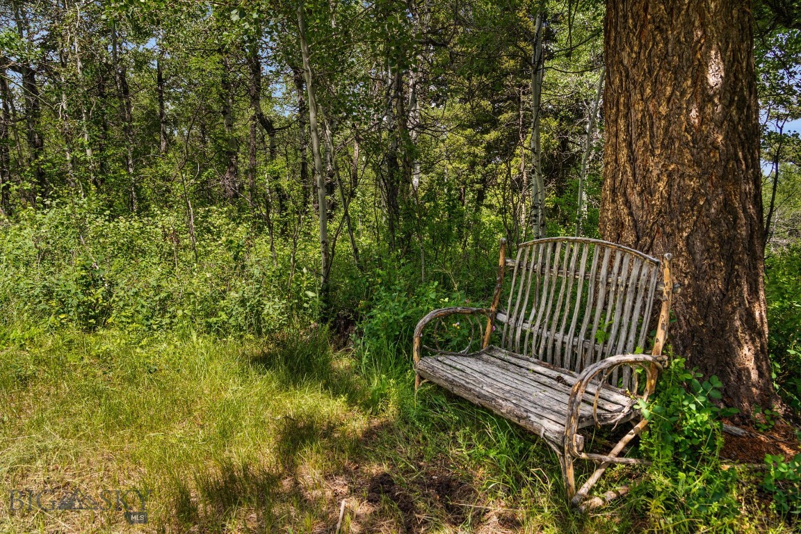 207 Martinez Spring Road