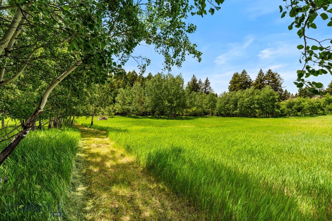 207 Martinez Spring Road