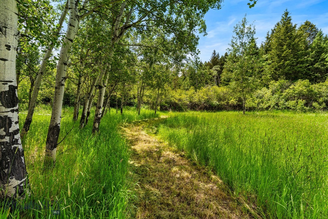 207 Martinez Spring Road