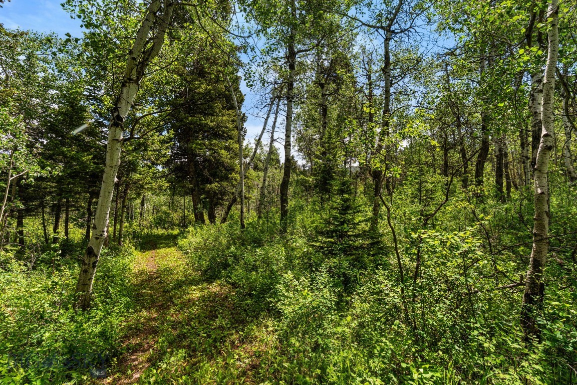 207 Martinez Spring Road