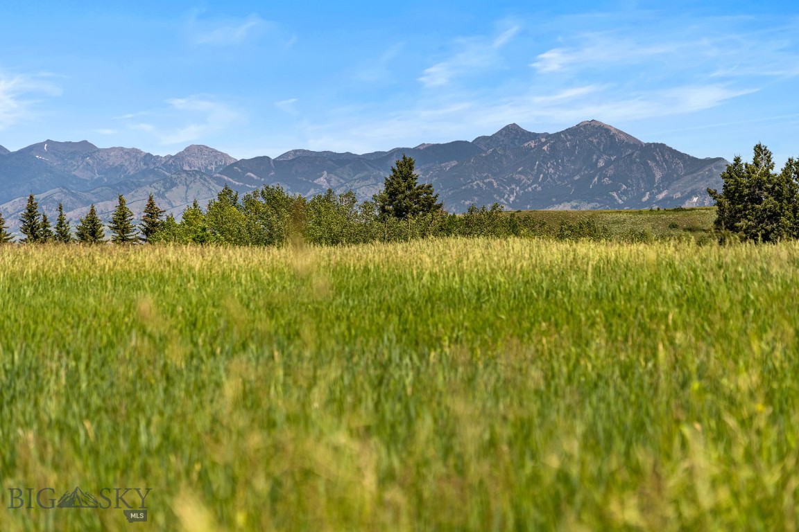 207 Martinez Spring Road