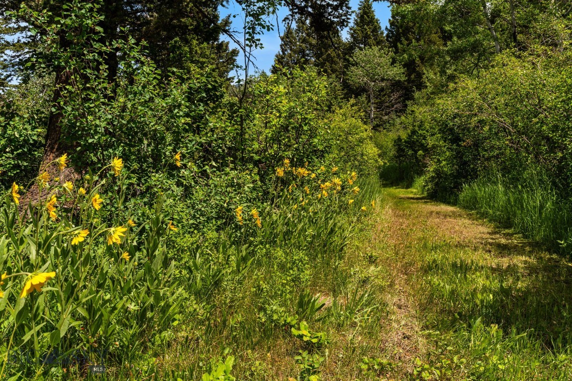 207 Martinez Spring Road