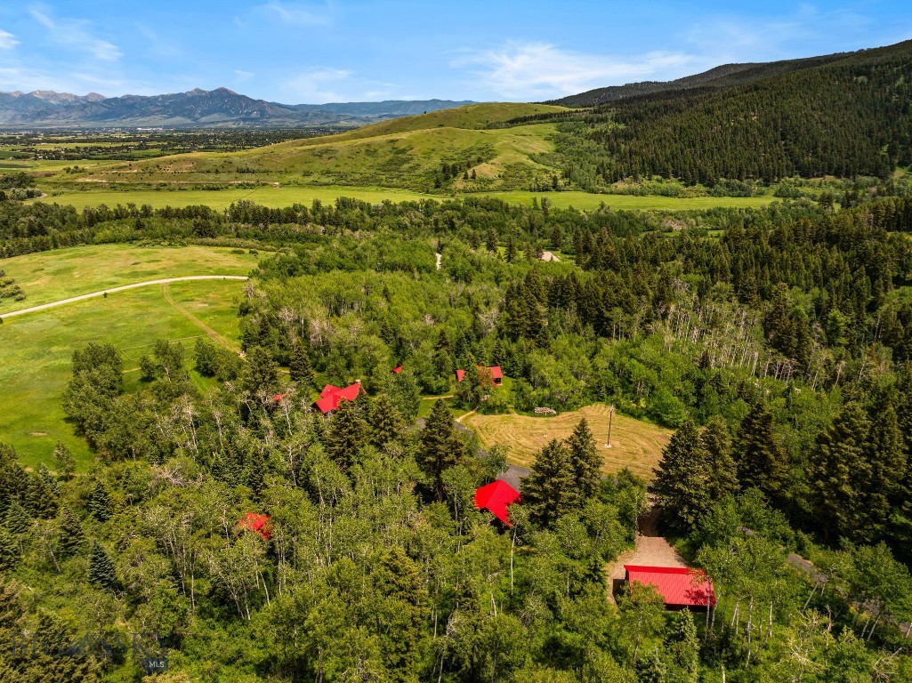 207 Martinez Spring Road