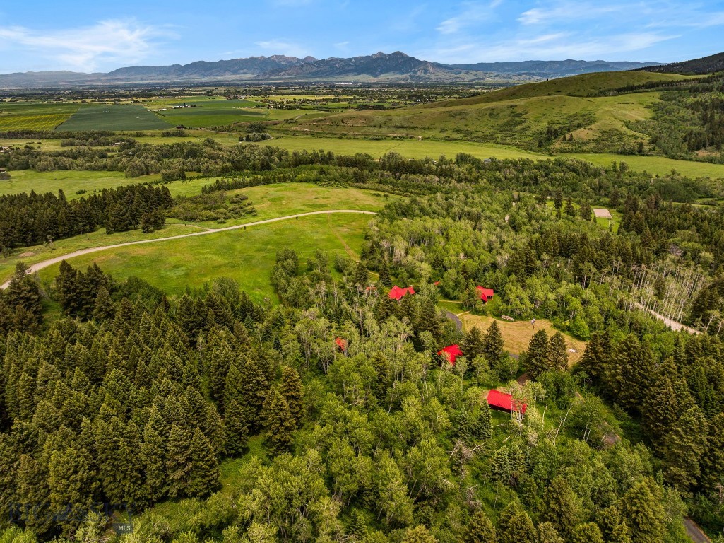 207 Martinez Spring Road