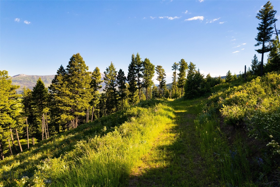 Ranch 11 North Pass Ranches