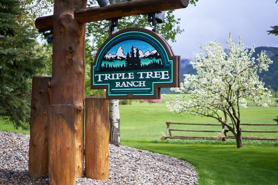 65 Triple Tree Lane