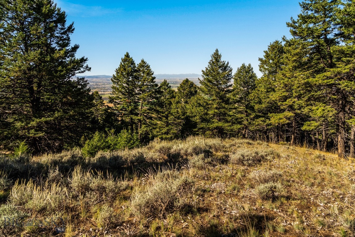 405 Resolute Ridge Road