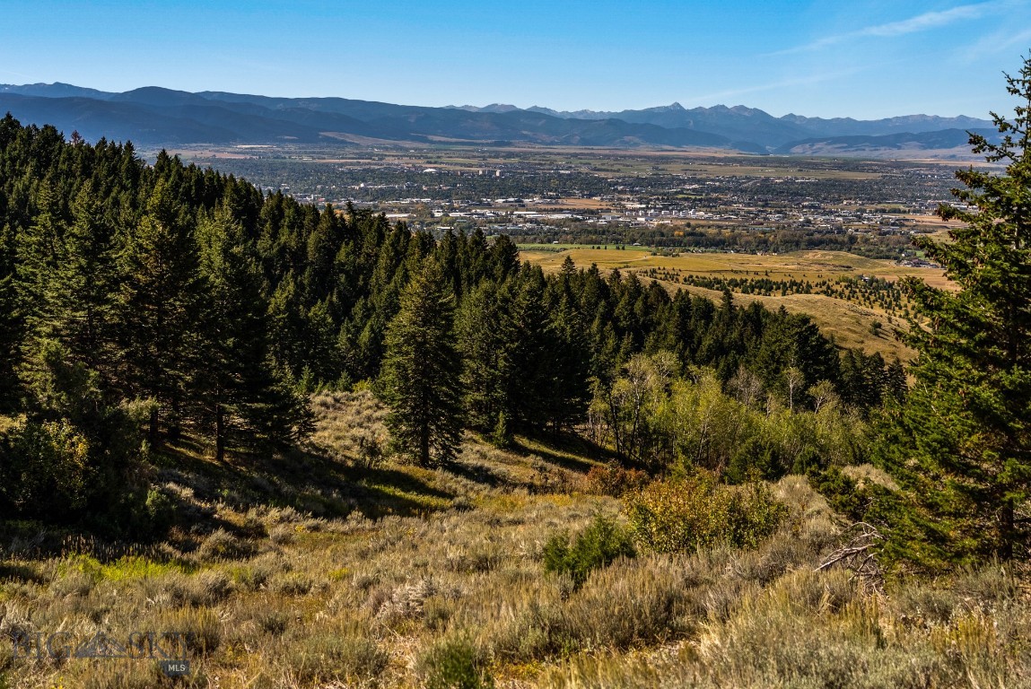 405 Resolute Ridge Road