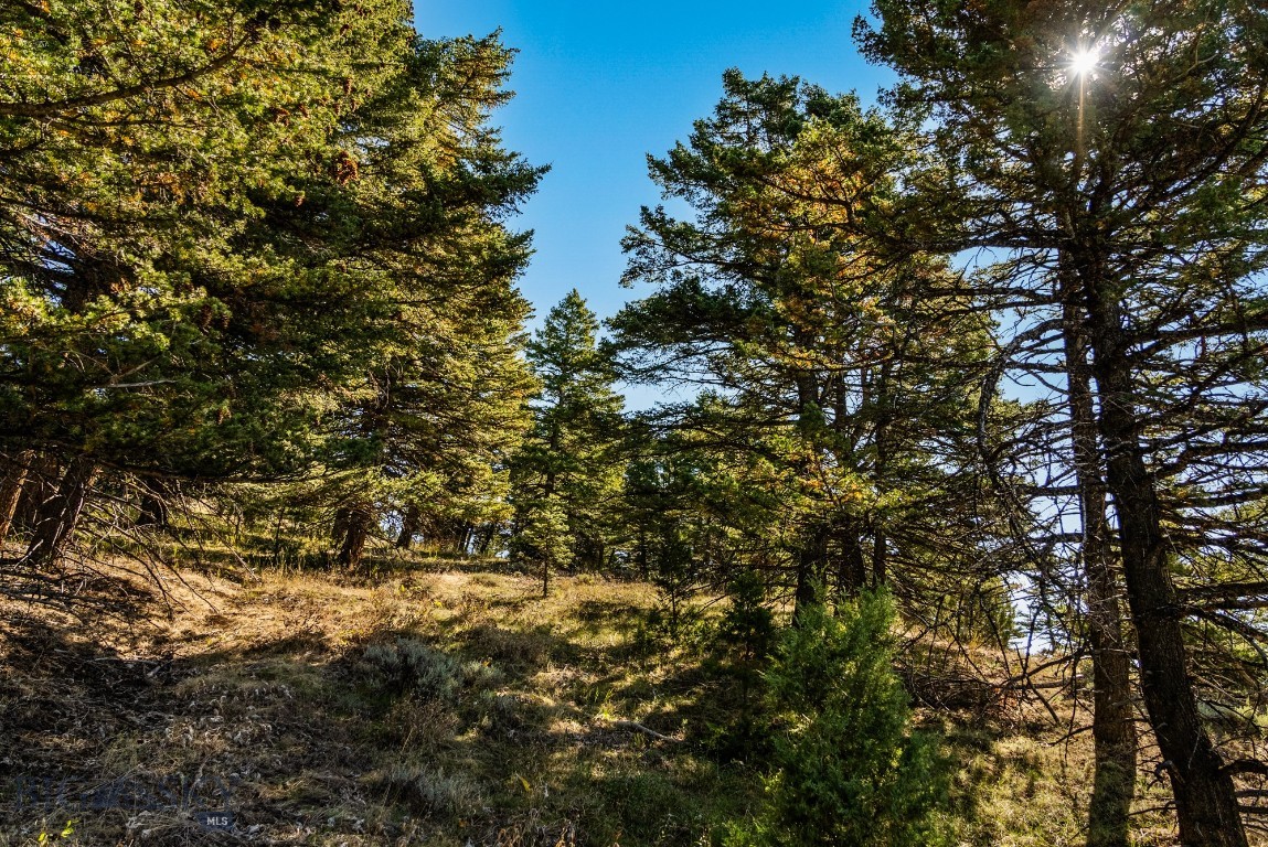 405 Resolute Ridge Road