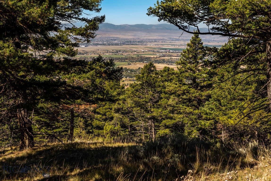 405 Resolute Ridge Road