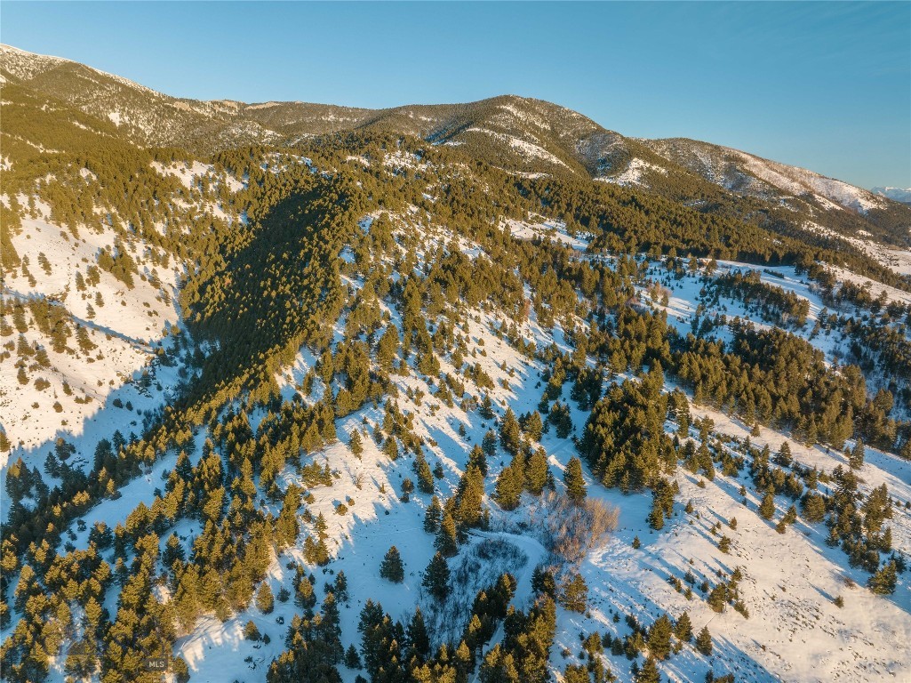 405 Resolute Ridge Road